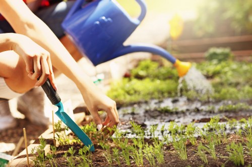 Person browsing Landscapers Ilford website on a laptop