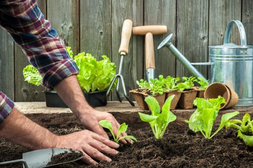 The image depicts a gardening scene in an outdoor space, featuring a person planting young vegetable seedlings into dark, enriched soil on a wooden garden bed. The gardener's hands are visible, carefully positioning the plants amid freshly turned earth. In the background, there is a wooden fence, providing privacy for the garden. Several gardening tools, including a trowel, a watering can, a pair of garden shears, and a small plant pot with leafy greens, are arranged on the wooden surface behind the planting area. The scene is set under natural daylight, suggesting a clear day, with vibrant green seedlings contrasting with the rich brown soil. The overall environment appears well-maintained and suited for vegetable cultivation, typical of residential gardens within the Ilford area. This detailed outdoor scene highlights elements that a professional gardening service like Landscapers Ilford might incorporate into their lawn and garden care offerings, emphasizing planting, soil preparation, and garden maintenance activities in a typical suburban garden setting in London postcode area IG.