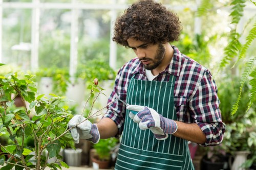 A man with curly brown hair, wearing a checkered shirt and a green striped apron, is working in a greenhouse surrounded by lush green plants and shrubs. He is carefully inspecting a small branch or stem, holding a gardening tool in one hand while examining the plant with the other. The greenhouse has a bright and airy atmosphere with greenhouse glass walls allowing natural light to illuminate the space. In the background, there are various potted plants and ferns, creating a vibrant and healthy garden environment typical of professional gardening and landscaping services offered by Landscapers Ilford. The scene highlights meticulous plant care, emphasizing the quality of services related to flower bed creation and outdoor plant maintenance in the Ilford area, with a focus on natural greenery, soil textures, and healthy foliage.