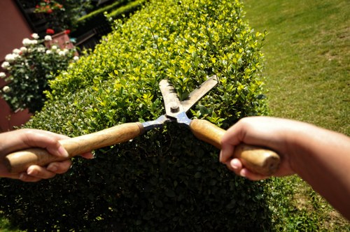 A close-up view of two hands, each holding a garden pruner with wooden handles, actively trimming a dense, neatly shaped green hedge in a well-maintained backyard. The hedge displays vibrant, healthy foliage with small, glossy leaves, forming a smooth, uniform boundary along a lawn area. The background includes other garden plants, a flower bed with blooming flowers, and a patch of grass extending into the distance. The lighting suggests a bright, partly sunny day with natural daylight illuminating the garden scene. The setting indicates outdoor gardening activities typical of professional or amateur landscaping work, fitting within a landscaped outdoor space that may be serviced by local gardening or landscaping companies such as Landscapers Ilford.