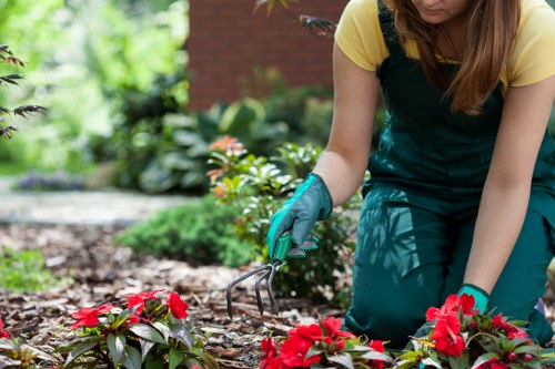 Professional landscapers working on a garden project
