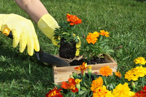 The image shows a gardener's hand wearing yellow gardening gloves, using a small trowel to plant bright orange and yellow primrose flowers into a rectangular wooden planter box. The planter is positioned on a well-maintained green lawn, with additional flowering plants spilling over the edges. In the background, the lush grass and part of the gardener’s arm are visible, indicating outdoor gardening activity. The scene is set outdoors in a natural garden environment, with natural daylight illuminating the vibrant flower colours and the fresh soil in the planter. This setting, typical of residential outdoor spaces within Ilford, showcases a gardening task involving flower planting, reflecting local landscaping and lawn care services offered by companies like Landscapers Ilford specializing in garden maintenance and plant installations in the area.