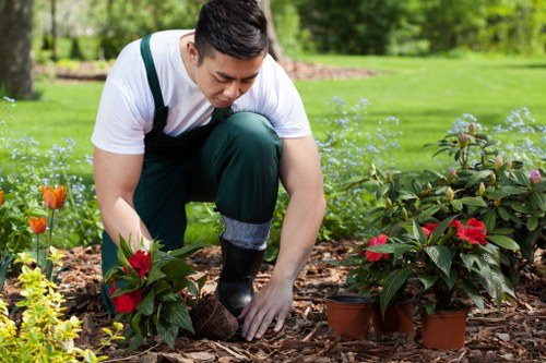 A gardener in a landscaped outdoor garden setting is crouched down close to the ground, planting or tending to potted and in-ground flowering plants that display bright red blooms, surrounded by mulch and soil. The garden includes a well-maintained lawn with lush green grass, bordered by various shrubs and flowering plants, some with orange and purple flowers. In the background, there are taller trees and a neatly arranged flower bed edging, indicating a professionally maintained garden space. The scene is lit with natural daylight, suggesting a clear or partly cloudy day, contributing to the vibrant colours and healthy appearance of the plants. The gardener is dressed in casual garden attire, including a white T-shirt, dark trousers, and gardening gloves, illustrating careful and attentive outdoor maintenance typical of professional gardening services in the local Ilford area, underlining the company’s expertise in garden care and landscaping services.