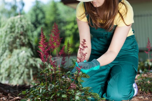 In a well-maintained garden, a woman wearing teal gardening overalls and light yellow short-sleeved top is kneeling on the soil, tending to a flower bed. She is holding a gardening tool and wearing blue gloves. The garden features a variety of plants, including purple-flowered perennials with tall, slender stems and lush green foliage. In the background, there are dense trees and shrubs, creating a natural backdrop, and a garden shed painted in pastel green. The well-defined lawn area shows dense, green grass bordered by a dark mulch bed, and a paved section with textured paving stones is visible near the flower bed. The scene is lit by natural daylight, suggesting a clear day, with gentle sunlight highlighting the vibrant colours of the flowers and foliage, and a neat, organized outdoor environment reflects professional gardening and landscaping practices typical of gardens in the Ilford area.