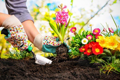 A close-up of a gardener's hands wearing colorful patterned gloves, planting a pink hyacinth bulb into dark, freshly tilled soil in a well-maintained garden bed. Surrounding the planting area are vibrant flowering plants, including red, yellow, pink, and white blossoms, with some daisies and primroses visible. The garden features a lush green lawn and a variety of shrubs and small trees in the background, indicating a landscaped outdoor space typical of residential gardens in Ilford. The scene is illuminated by natural daylight, suggesting a clear, sunny day, and emphasizes outdoor gardening activities related to sustainable planting and garden maintenance. Landscapers Ilford can support gardening and landscaping services such as planting, soil preparation, and flower bed creation, contributing to local environmental sustainability efforts.