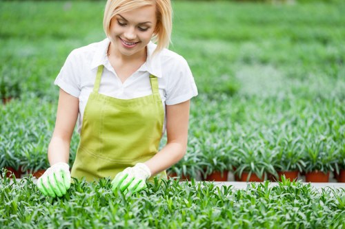 A young woman with short blonde hair, wearing a white shirt, a light green apron, and gardening gloves, is working in a well-maintained garden nursery. She is examining or tending to lush green plants arranged in rows on raised beds with red borders. The background features other similar garden beds filled with young plants, set on a neatly organized outdoor space with grass and a natural environment under bright, natural daylight, suggesting a pleasant weather condition. The scene reflects professional gardening activities typical of a landscaping and gardening service environment in Ilford or the nearby area, emphasizing horticultural care and plant maintenance. The image aligns with gardening services offered by Landscapers Ilford, highlighting attention to plant health and garden maintenance.