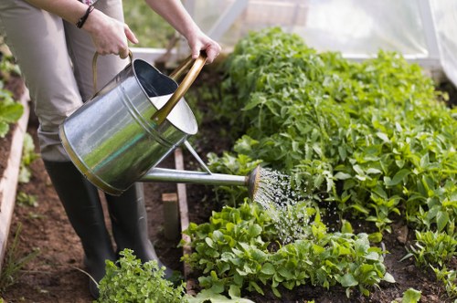 The image depicts a person watering a garden bed with a metal watering can, positioned in the foreground. The garden features a variety of lush, green leafy plants, with well-maintained soil visible around the base of the plants. In the background, there are taller bushes and small trees, suggesting a landscaped outdoor space, likely part of a residential garden in Ilford or nearby areas. The scene is outdoors under natural daylight, with a slightly cloudy sky providing soft, even lighting that highlights the vibrant green tones of the foliage. The garden appears tidy and carefully cultivated, with defined planting areas and mulch or soil visible between the plants. This setting showcases typical features of a well-kept residential garden, suitable for gardening and outdoor maintenance services provided by companies such as Landscapers Ilford, emphasizing lush plant growth and tidy landscaping in an urban or suburban environment.